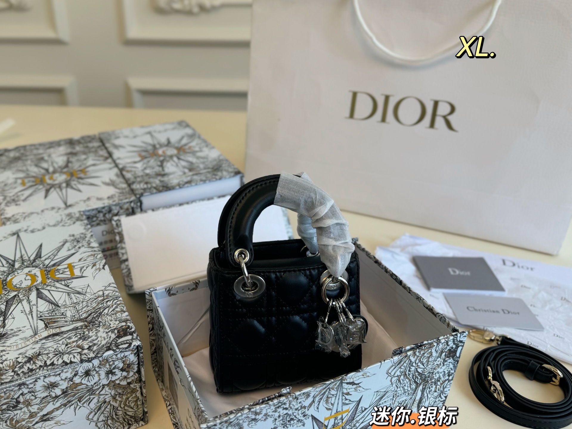 DIOR bag 10